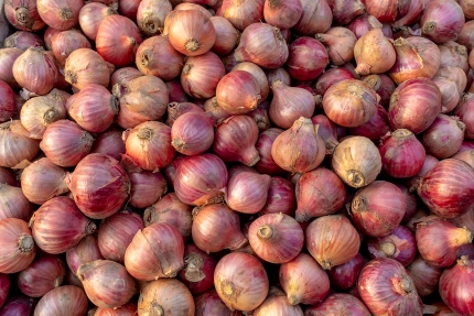 CEBOLLA PIURANA 1KG