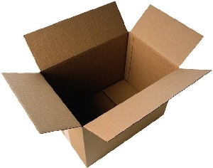 CAJON DE CARTON Y SACOS