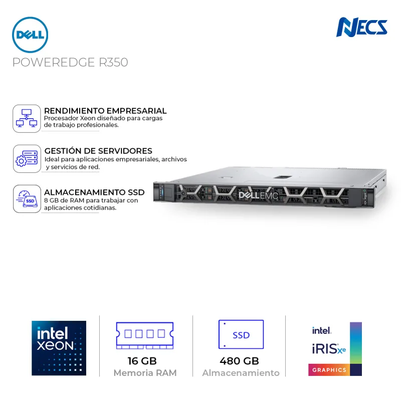 SERVIDOR DELL POWEREDGE R350 XEON E-2336, 16GB, 480GB SSD